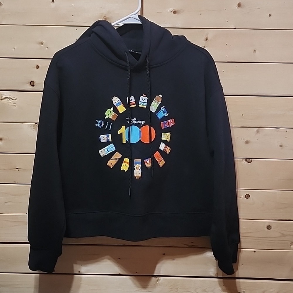 DisneyWorld/Land 100 Unified Character Hoodie Size Small